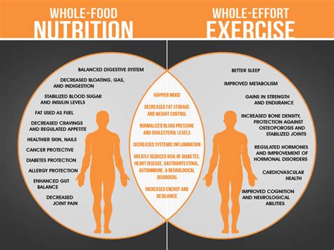 Enhancing Physical Well-being with a Fitness Regimen and Balanced Nutrition