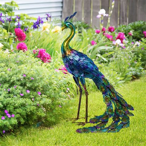 Enhancing Your Garden or Patio with Vibrant Peacock Accents