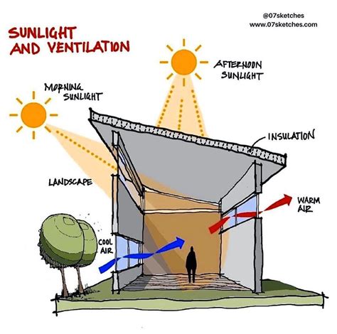 Ensuring Optimal Sunlight and Water Supply