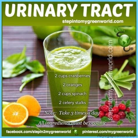 Ensuring a Healthy Diet to Minimize the Likelihood of Urinary Tract Infections