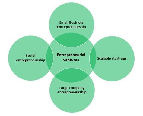 Entrepreneurial Ventures of the Successful Businesswoman