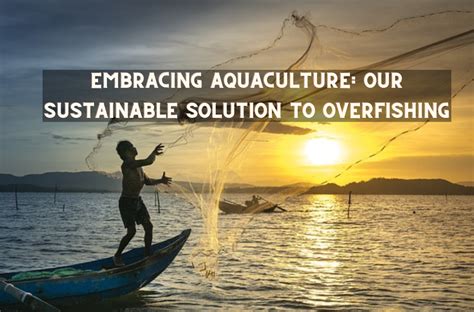 Environmental Benefits of Faux Seafood: A Sustainable Solution to Overfishing