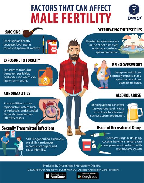 Environmental Factors: How They Impact Male Fertility