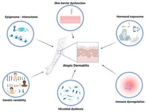 Environmental Factors Contributing to the Development of Skin Cracks