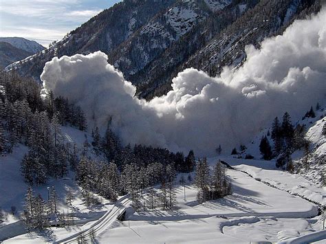 Environmental Impact: Understanding the Role of Snow Avalanches in Nature