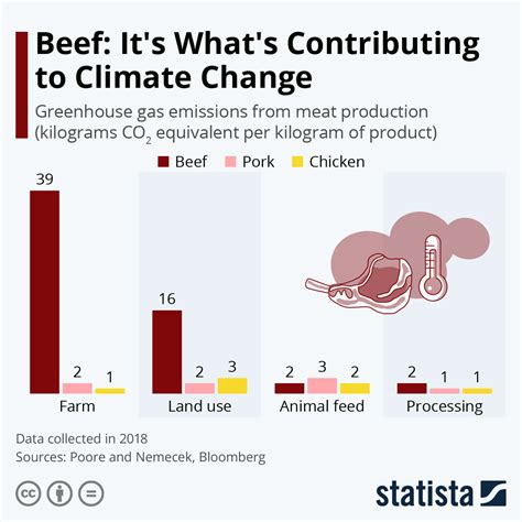 Environmental Impacts: Red Meat's Contribution to Climate Change