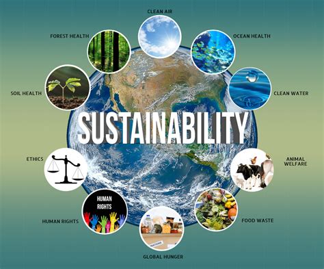 Environmental Sustainability: A Vital Component of a Harmonious Society