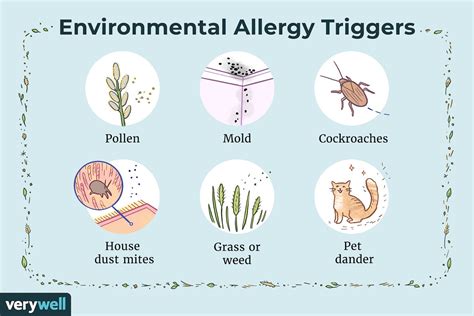 Environmental Triggers: Exploring the Impact of Allergens on the Skin