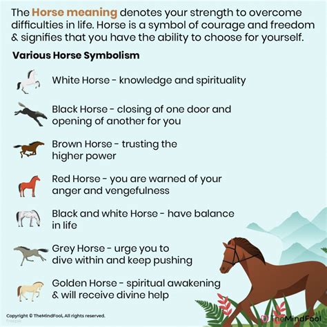 Equine Symbolism Through the Ages