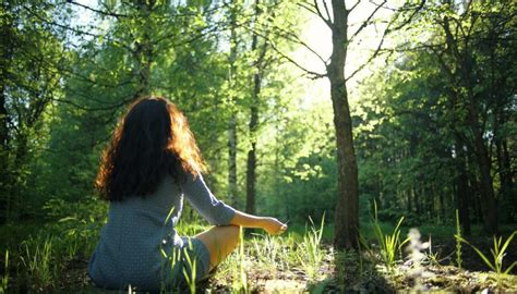 Escaping Into Nature: Embracing the Healing Power of Natural Environments