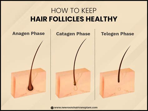 Essential Techniques for Nurturing Optimal Hair Follicle Health