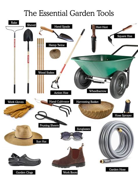 Essential Tools and Equipment for Orcharding: Making Your Fruit Garden Dreams Come True