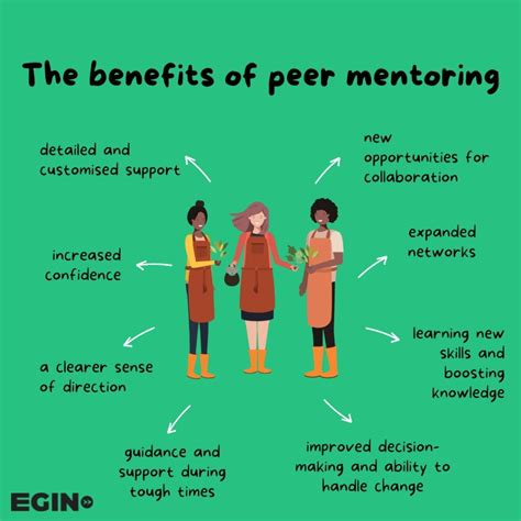 Establishing a Supportive Network: The Significance of Mentors and Peer Groups