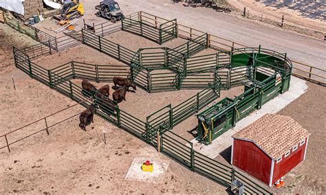 Establishing the Proper Facilities: Creating an Ideal Environment for Your Beef Cattle