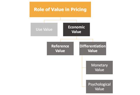 Estimating Amy Vega's Financial Value and Wealth