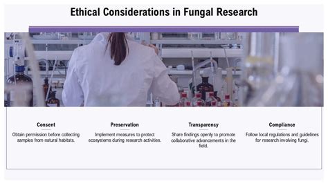 Ethical Considerations in Studying and Interpreting Fungal Dream Phenomena: Accountability and Reverence