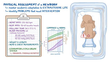 Examining Corrina's Physical Measurements and Data