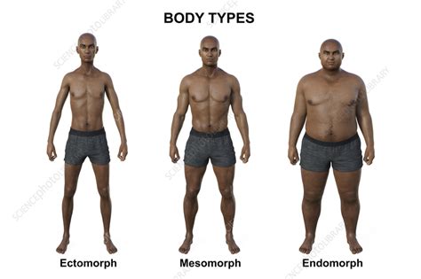 Examining Parysatis' Body Type and Features