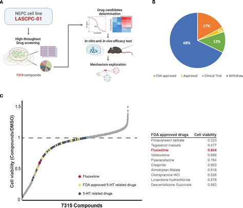 Examining the Effects of Stress on Substance Screening Outcomes