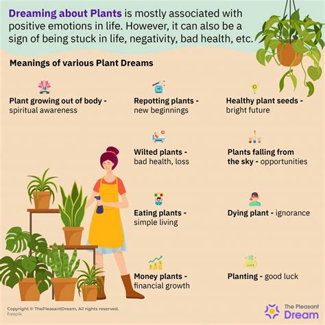 Examining the Importance: Delving into the Significance of Dreaming about Descending Edible Plants