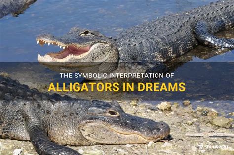 Examining the Influence of Alligator Traits on Dream Interpretation