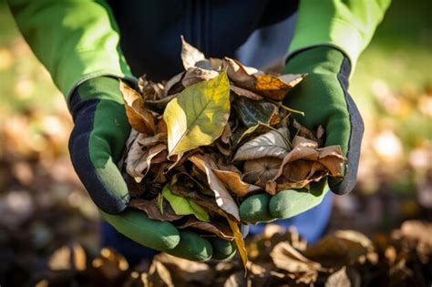 Examining the Influence of Toppling Foliage on Dreamers