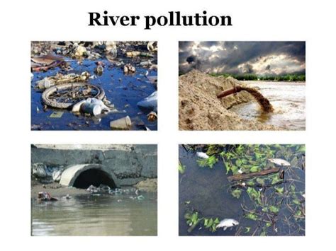 Examining the Reasons and Origins of River Contamination