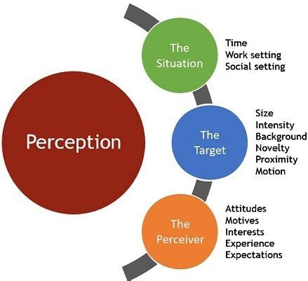 Examining the Role of Perception and Personal Associations