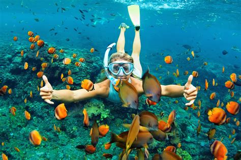 Exciting Activities to Experience on Stunning Coral Beaches: Snorkeling, Sunbathing, and Beyond