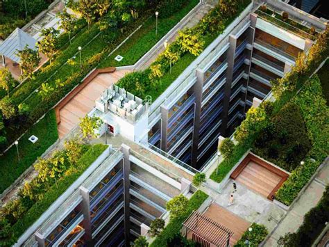 Expanding Horizontally: Harnessing Rooftop Gardens for Added Space