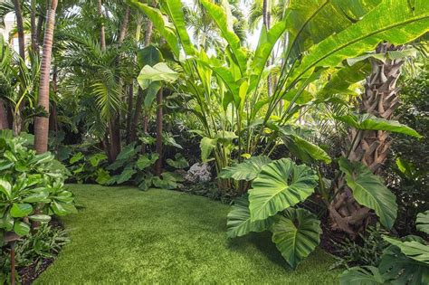 Expanding Your Vision: Incorporating Non-Plant Elements into Your Tropical Oasis