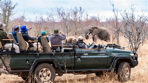 Experiencing the Thrill of an African Safari