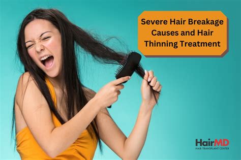 Expert Assistance for Severe Hair Damage