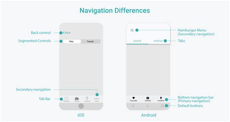 Explore Apple Bottom's Tallness and Dimensions