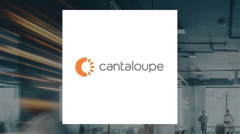 Explore Candy Cantaloupe's Lifestyle and Earnings