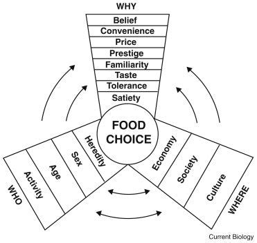 Explore Leona Yamamoto's Dietary Preferences and Nutrition Choices