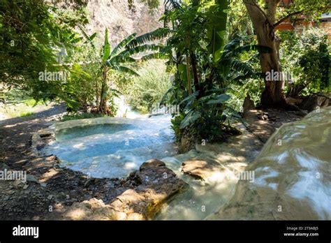 Explore the Captivating Splendor of Waters Filled with Lush Green Algae