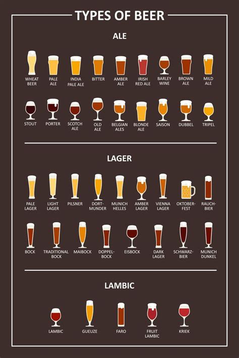 Explore the Distinctions among Ale, Lager, and Other Beer Styles