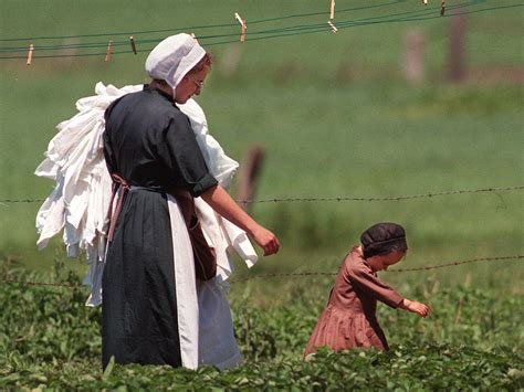 Explore the Life of Amish Hill