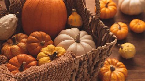 Explore the Versatility of Pumpkin in These Delectable Dishes