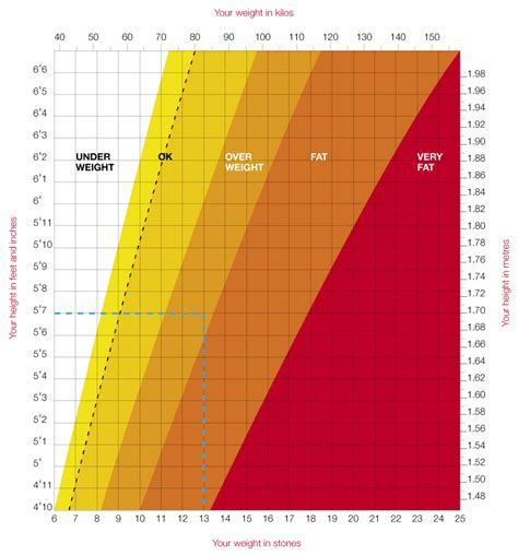 Exploring Alex Kralova's Physical Measurements