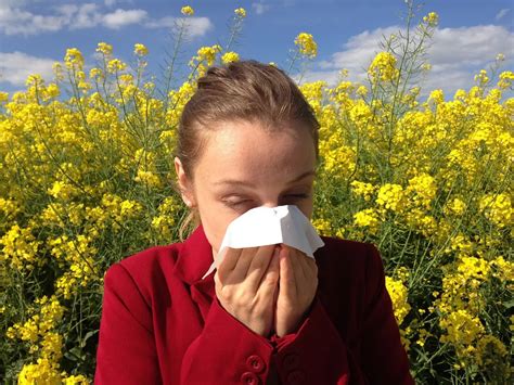 Exploring Allergy Types: Unveiling the Culprits Behind Seasonal and Food Reactions