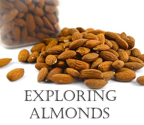 Exploring Almond Nuts in Culinary Endeavors: Handy Tips and Techniques