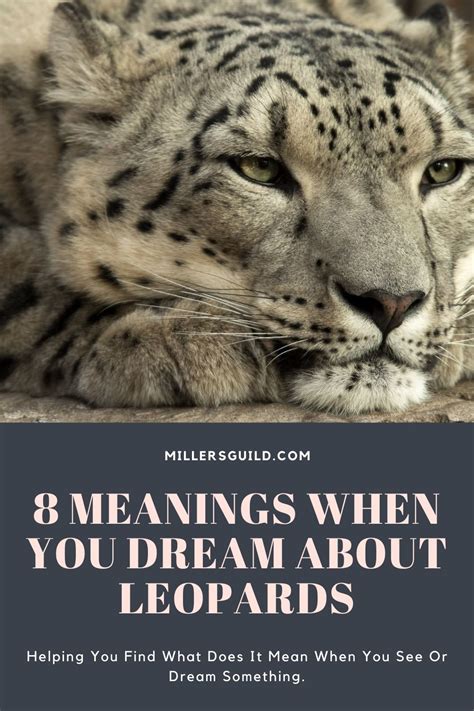 Exploring Animal Dreams: Leopards as Mentors for Personal Growth