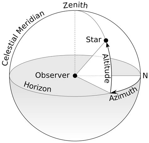 Exploring Anyjah Black: Elevation and Physique Dimensions