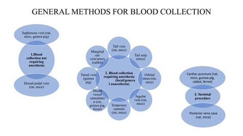 Exploring Approaches to Decoding Dreams of Blood Withdrawal: Evaluating Techniques and Their Reliability