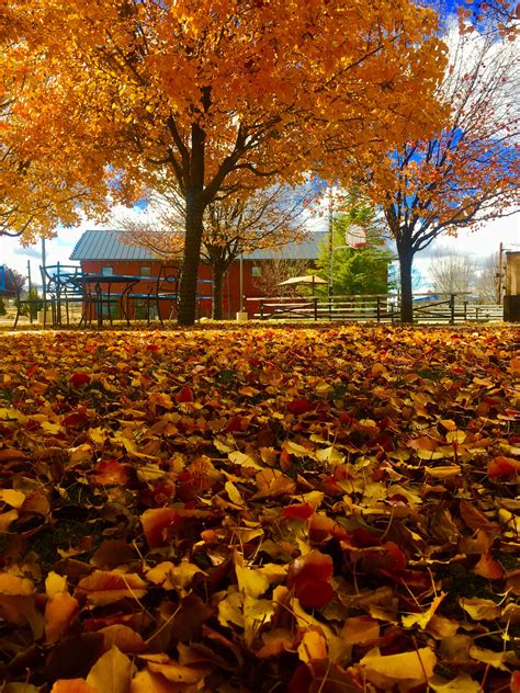 Exploring Autumn Prescott's Background and Early Life