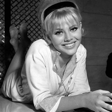 Exploring Britt Ekland's Timeless Beauty