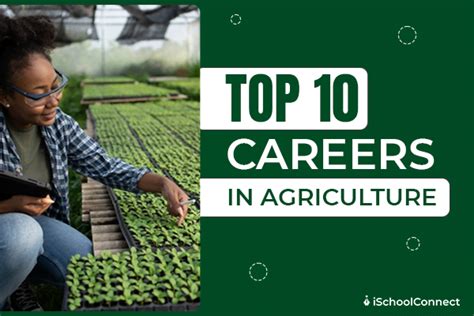 Exploring Career Options in the Agricultural Industry