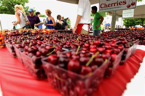 Exploring Cherry Festivals and Events: Where to Indulge in Your Passion for Cherries